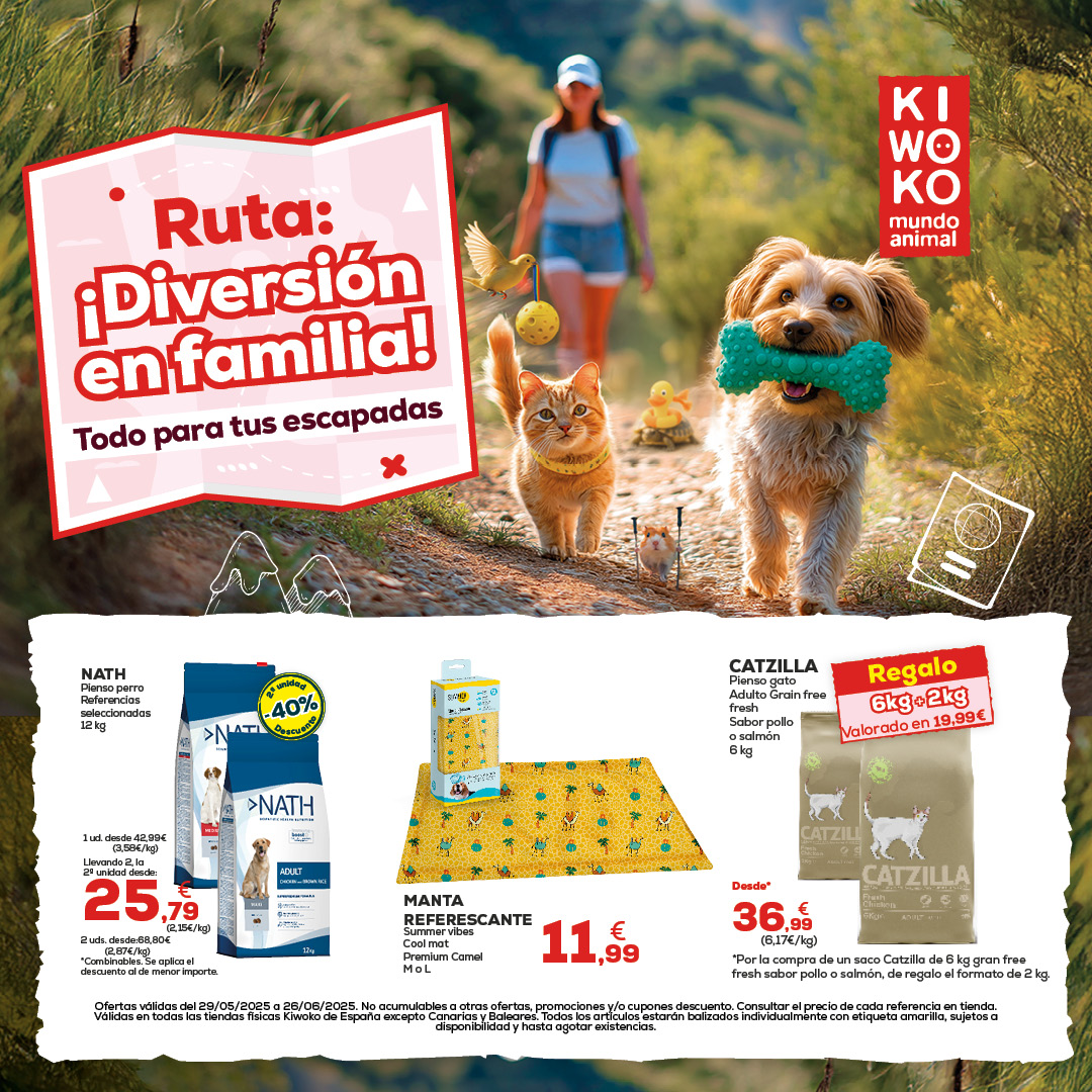 Oferta