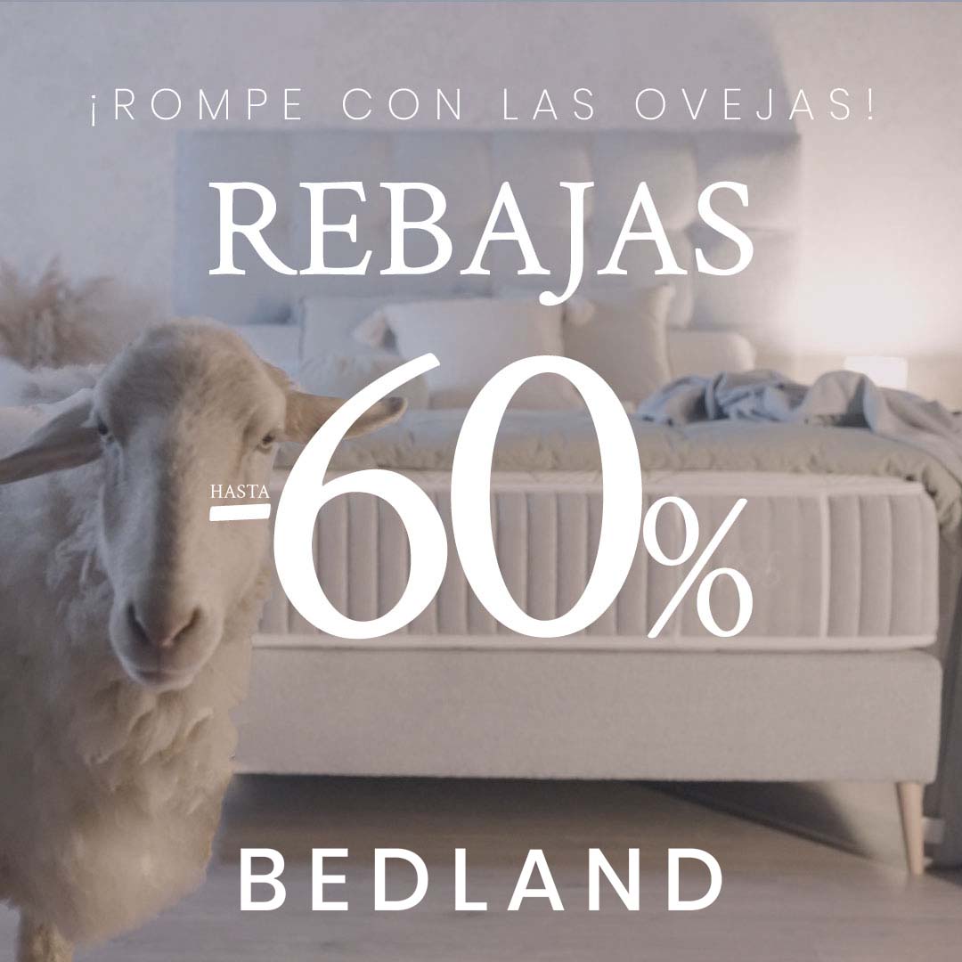 Oferta